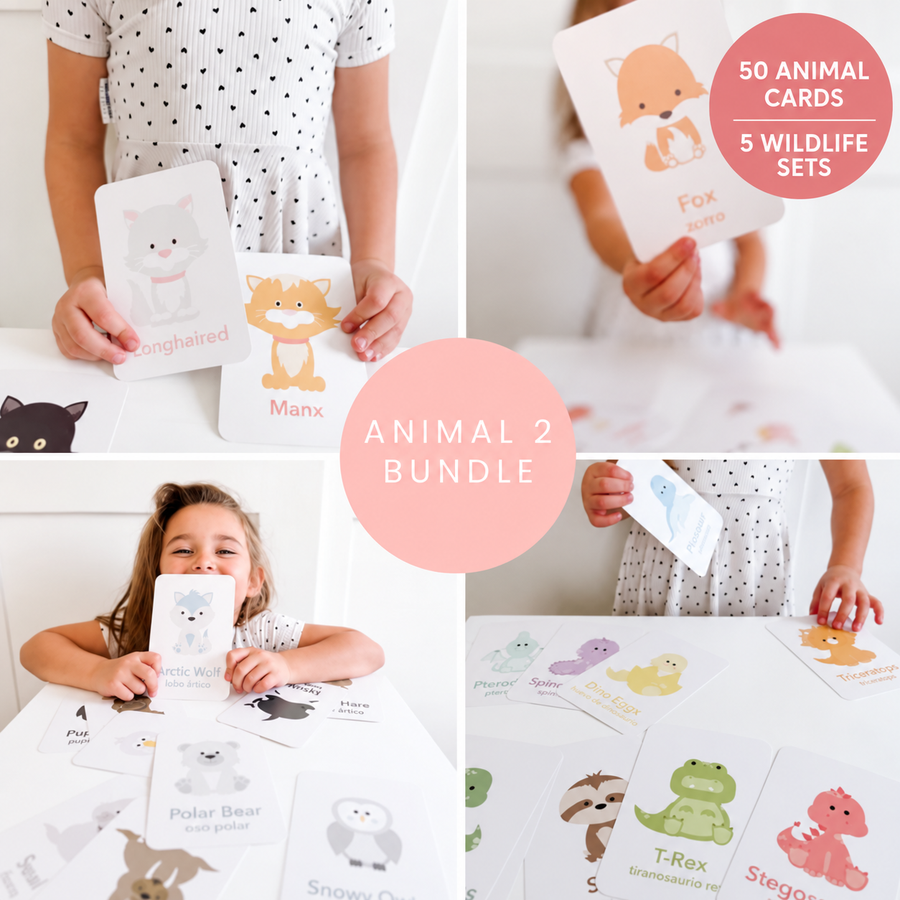 Animal Flash Cards Bundle for Toddlers | 50 Wildlife Learning Cards